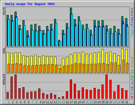 Daily usage for August 2021