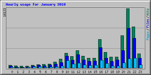 Hourly usage for January 2010