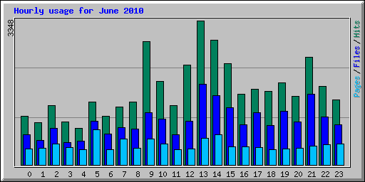 Hourly usage for June 2010