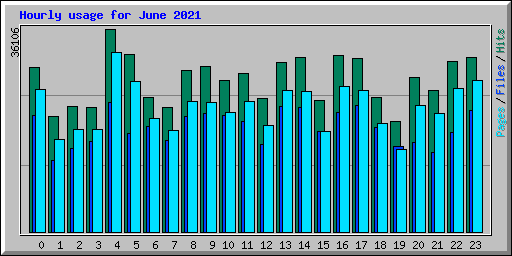 Hourly usage for June 2021