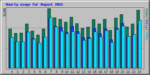Hourly usage for August 2021