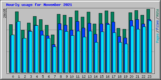Hourly usage for November 2021