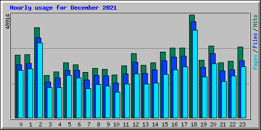 Hourly usage for December 2021