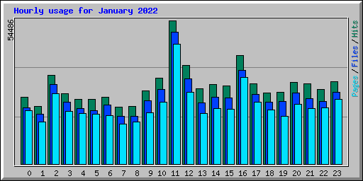 Hourly usage for January 2022