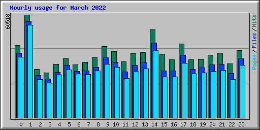 Hourly usage for March 2022